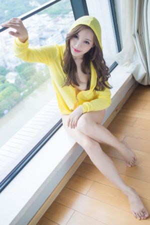 终极保镖电影免费观看_剧情片在线观看