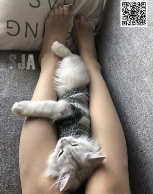欧美xxxx性xxxxx高清_HD神马影院手机在线