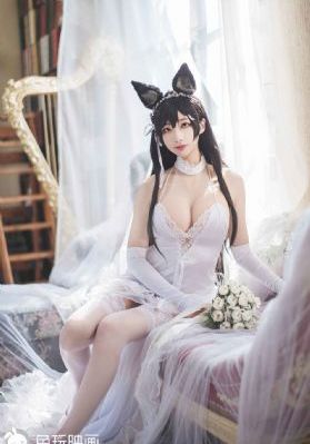 4438全国最大成人_高清高清完整版