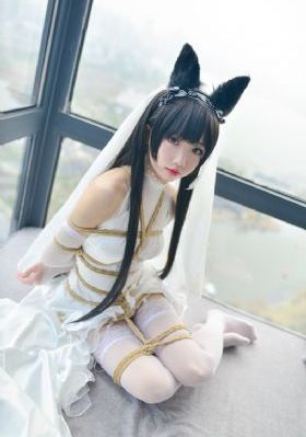 国产探花免费观看_1080在线观看电视
