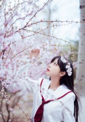 手机在线免费av_BD英语高清免费观看